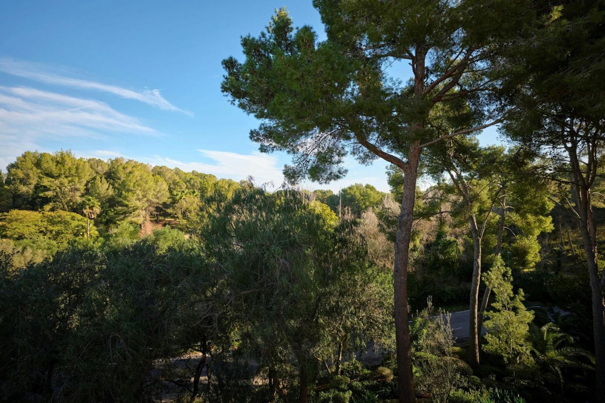 Sheraton Mallorca Arabella Golf Hotel 5*